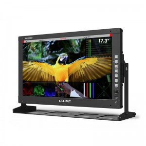 17.3-inch-production-monitor-300x300